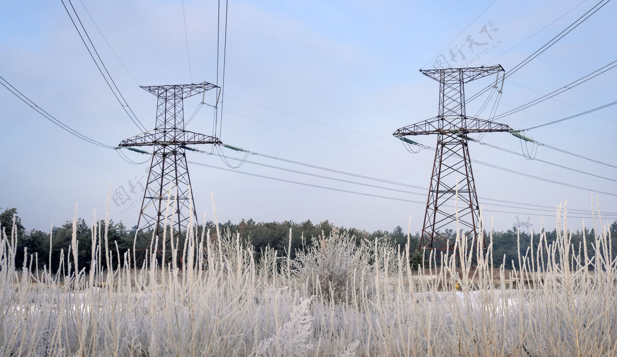天空冬季景观与电力线在雪域附近的森林和公园树木传输供电