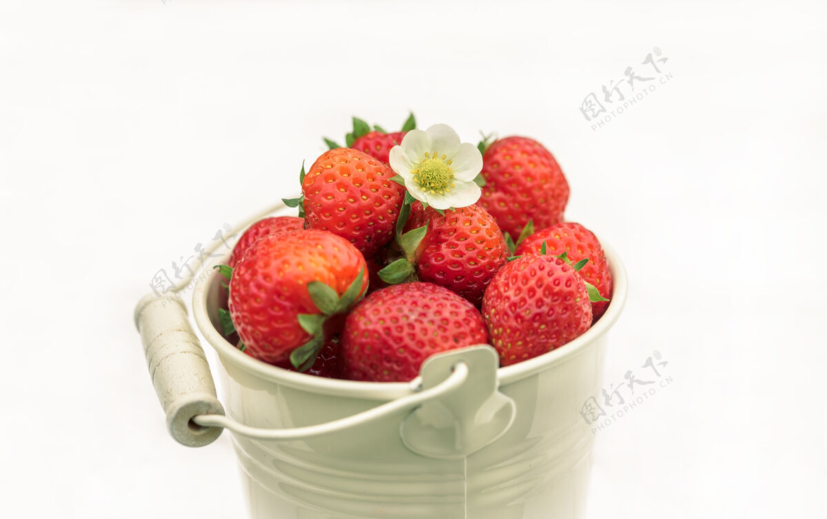 有机把草莓关在桶里 夏天在村里 收获多汁季节木材