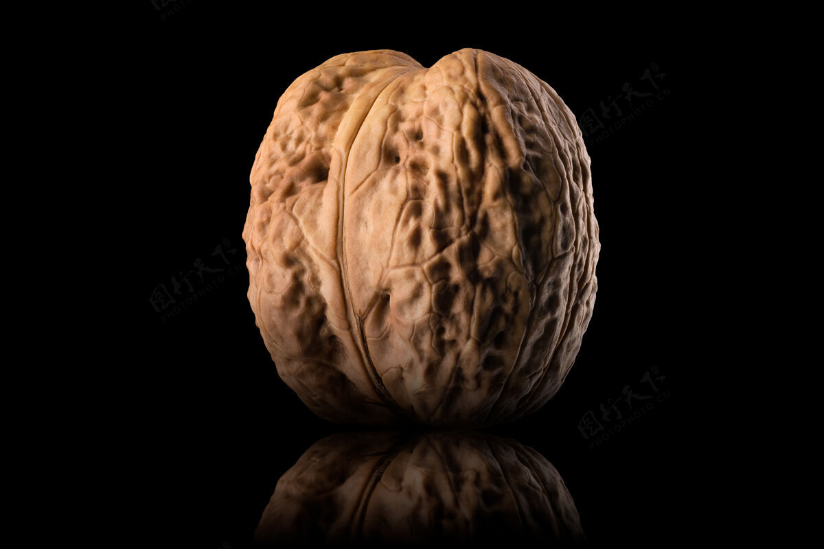 坚果整个胡桃木的微距照片 反射隔离在黑色背景上 带有剪辑路径榛子果壳自然