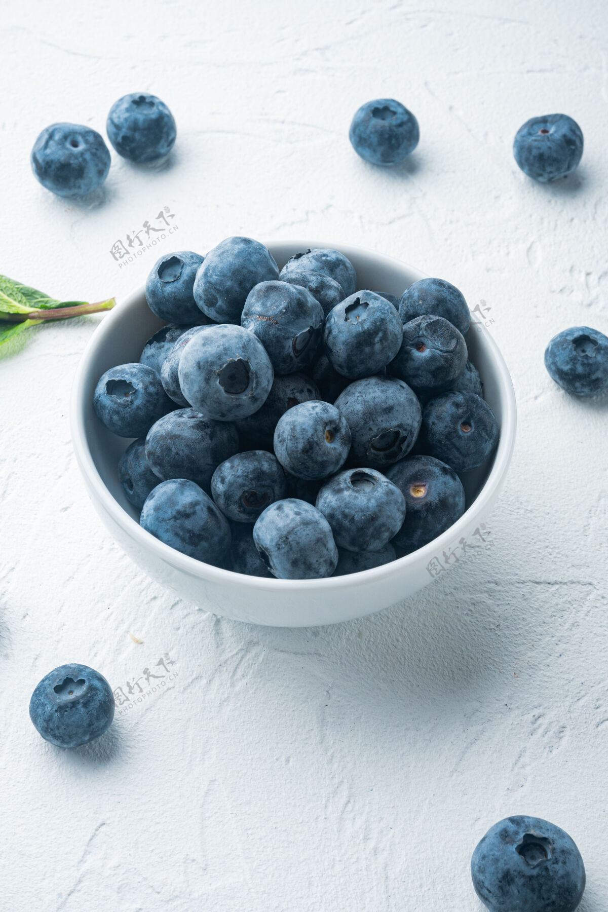 野生新鲜的夏季浆果 蓝莓健康成熟