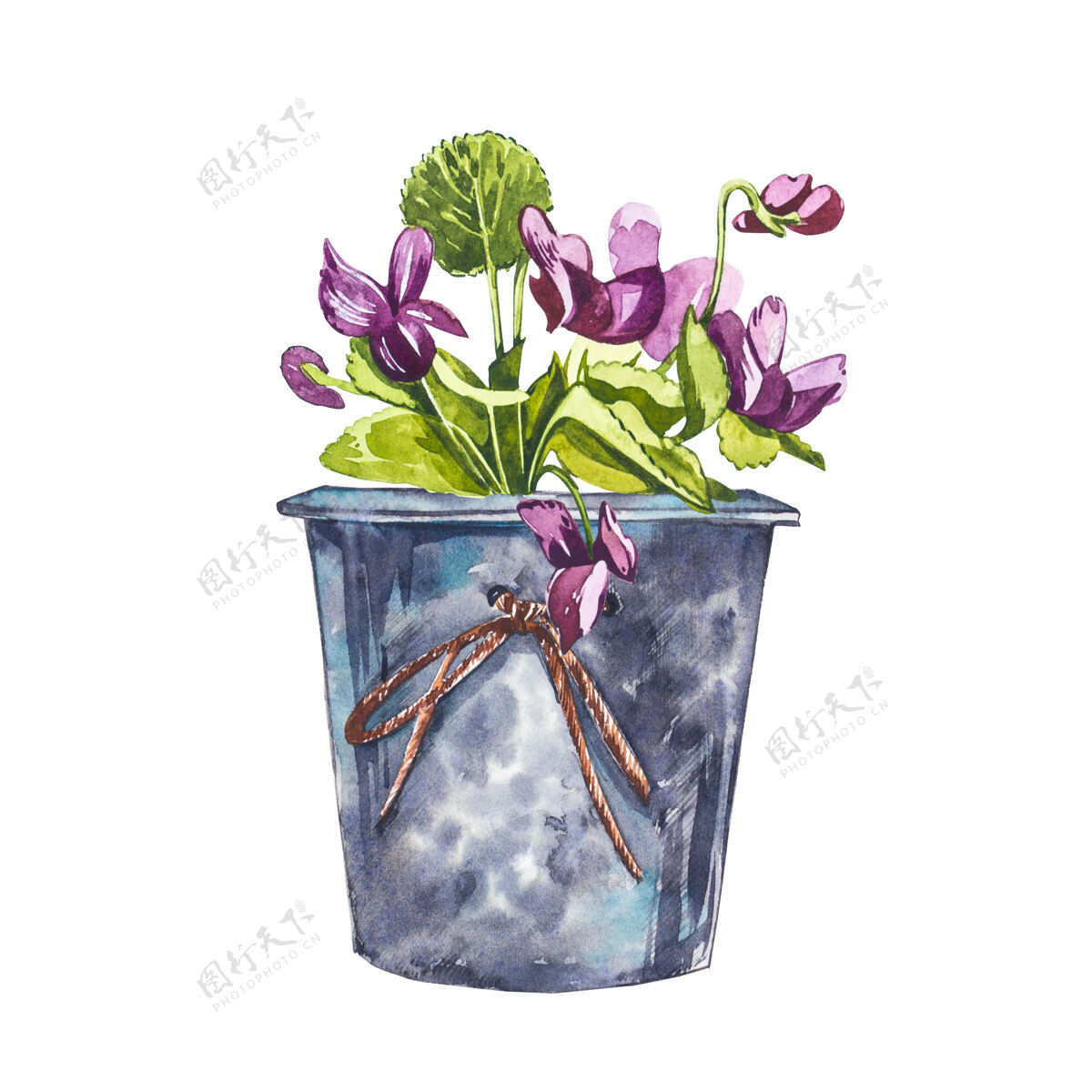 传统水彩紫罗兰花大麻手在白色上画水彩插图背景.复活节收藏图形树叶花朵