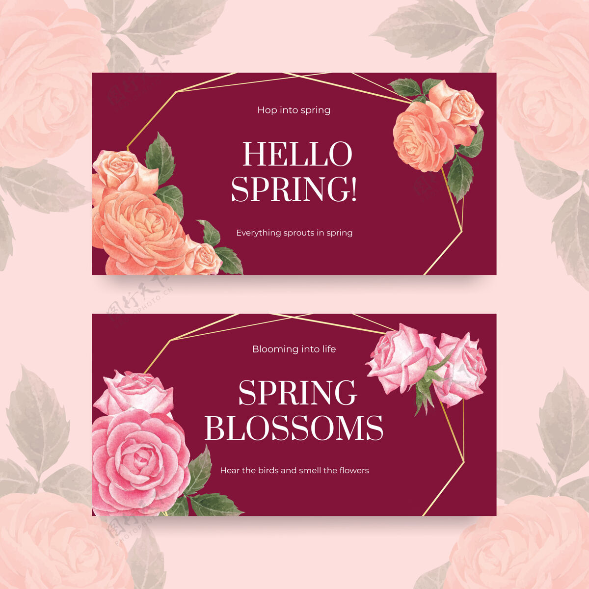 女性推特模板与春天明亮的概念水彩插图银莲花植物互联网
