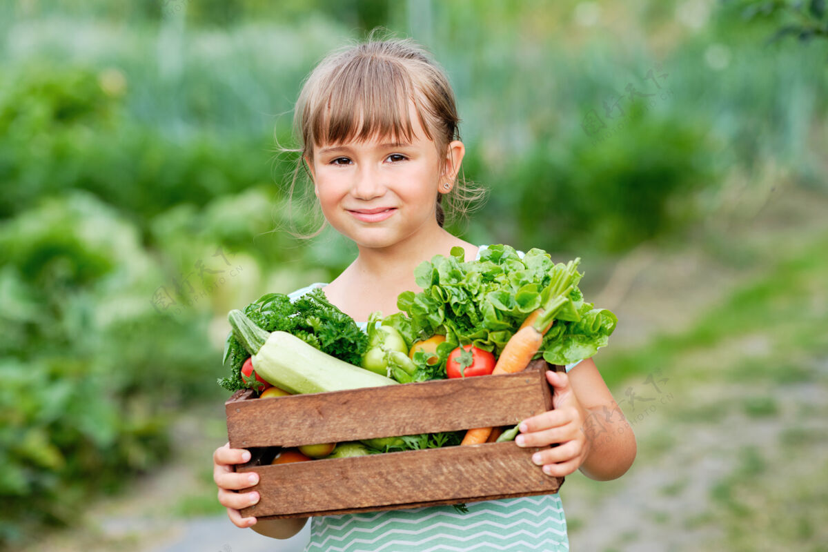 乡村小女孩手里拿着一篮子丰收的有机蔬菜和根茎上的有机生物农场.秋天蔬菜收获混合零生物