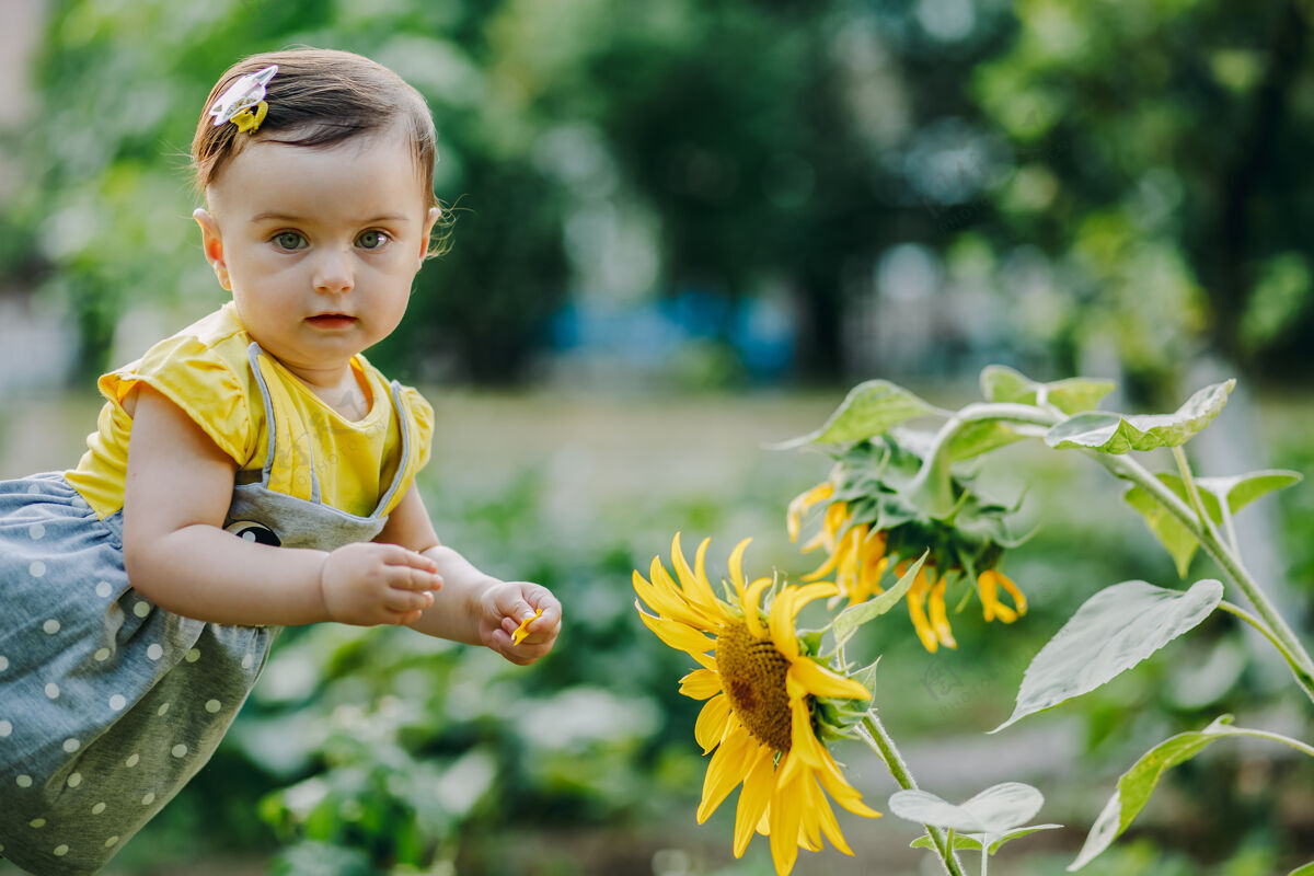 小七个月大的宝宝抱着向日葵花瓣看着相机花园花玩