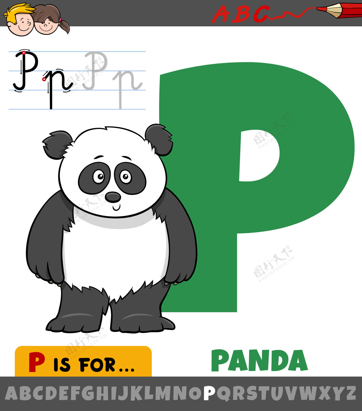 幼儿园字母p来自熊猫动物字符的字母表类型学校绘画