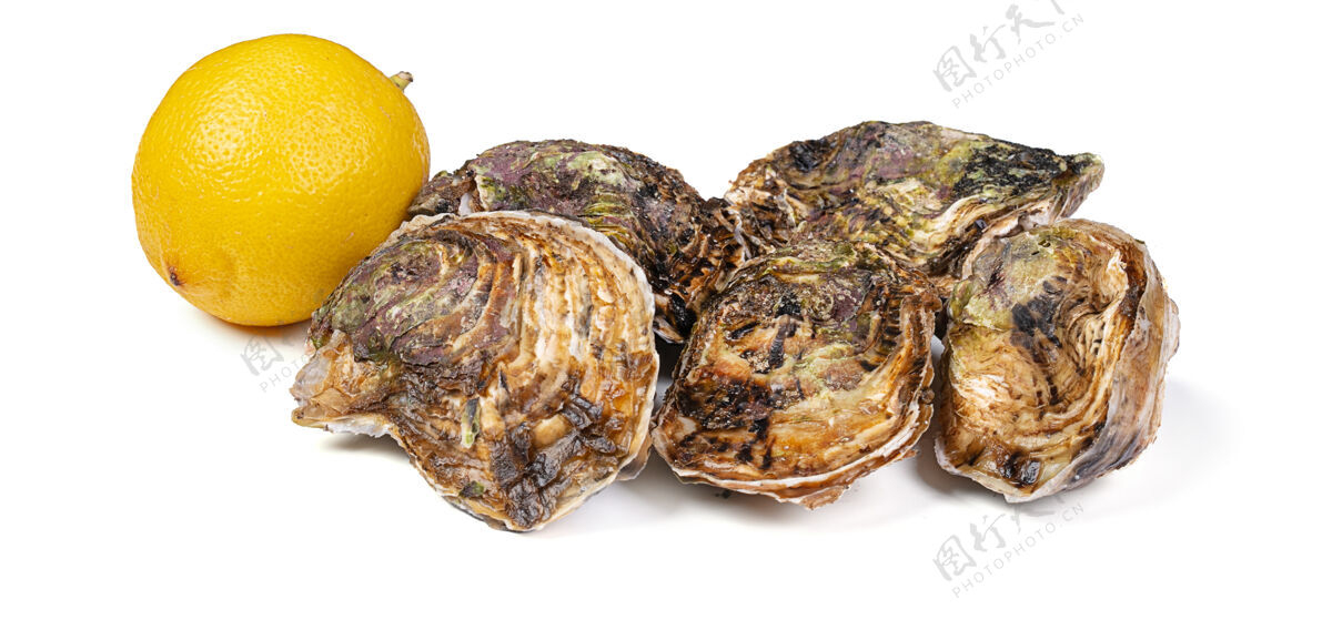 开放隔离新鲜牡蛎和柠檬在白墙上食品牡蛎开胃菜