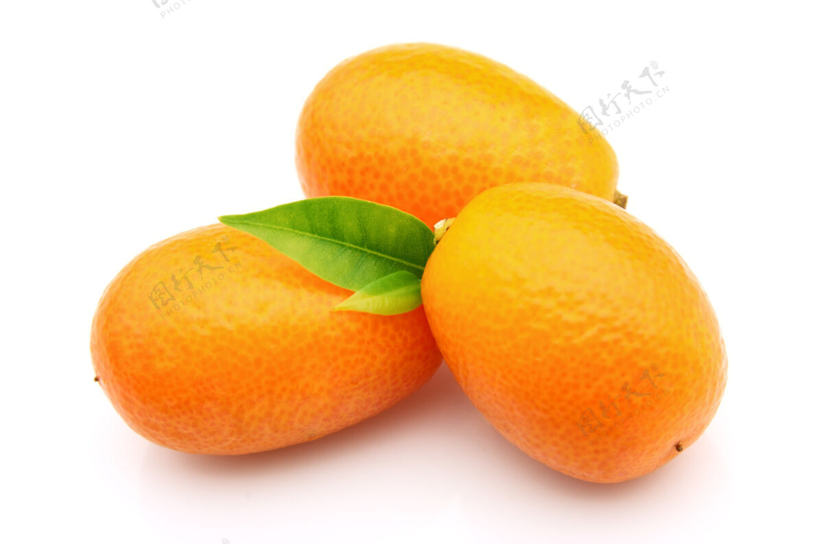 黄金三个金橘一个白食物柑橘水果