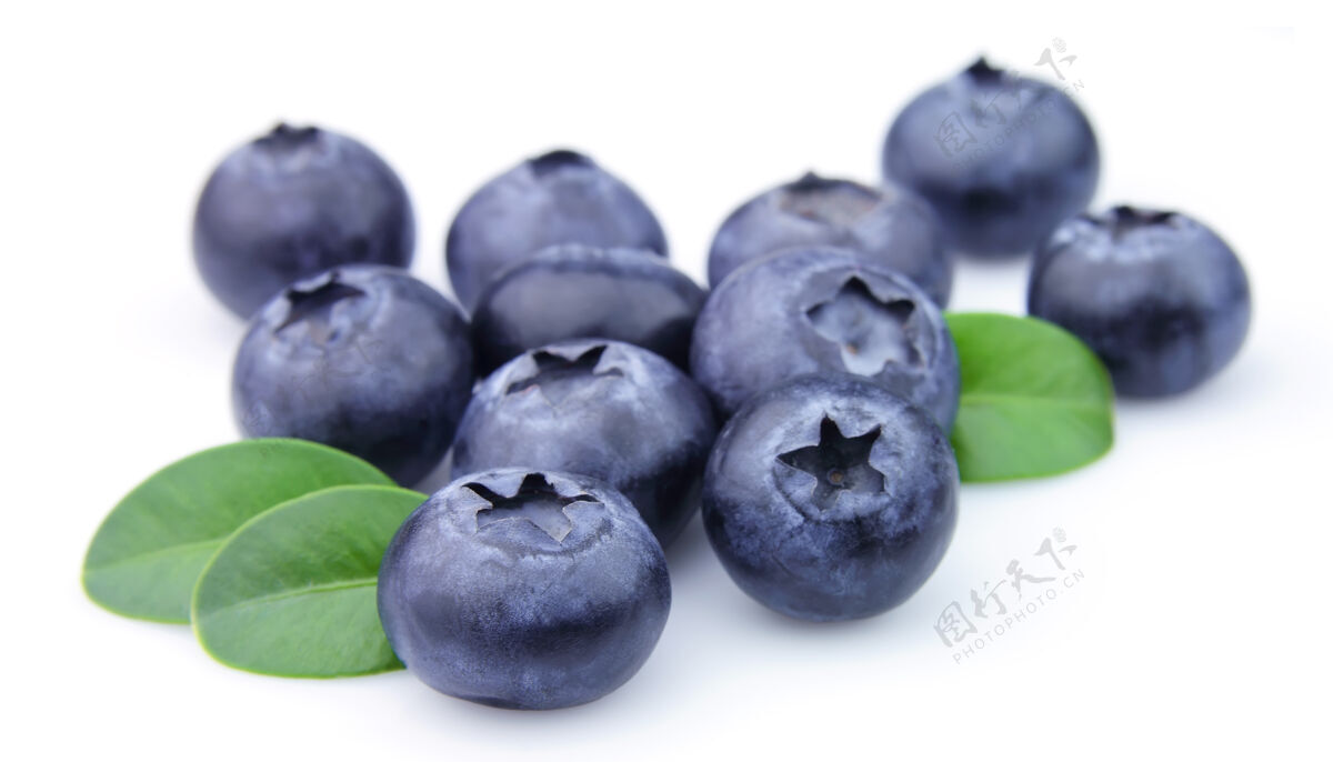 自然白叶蓝莓越橘水果黑莓