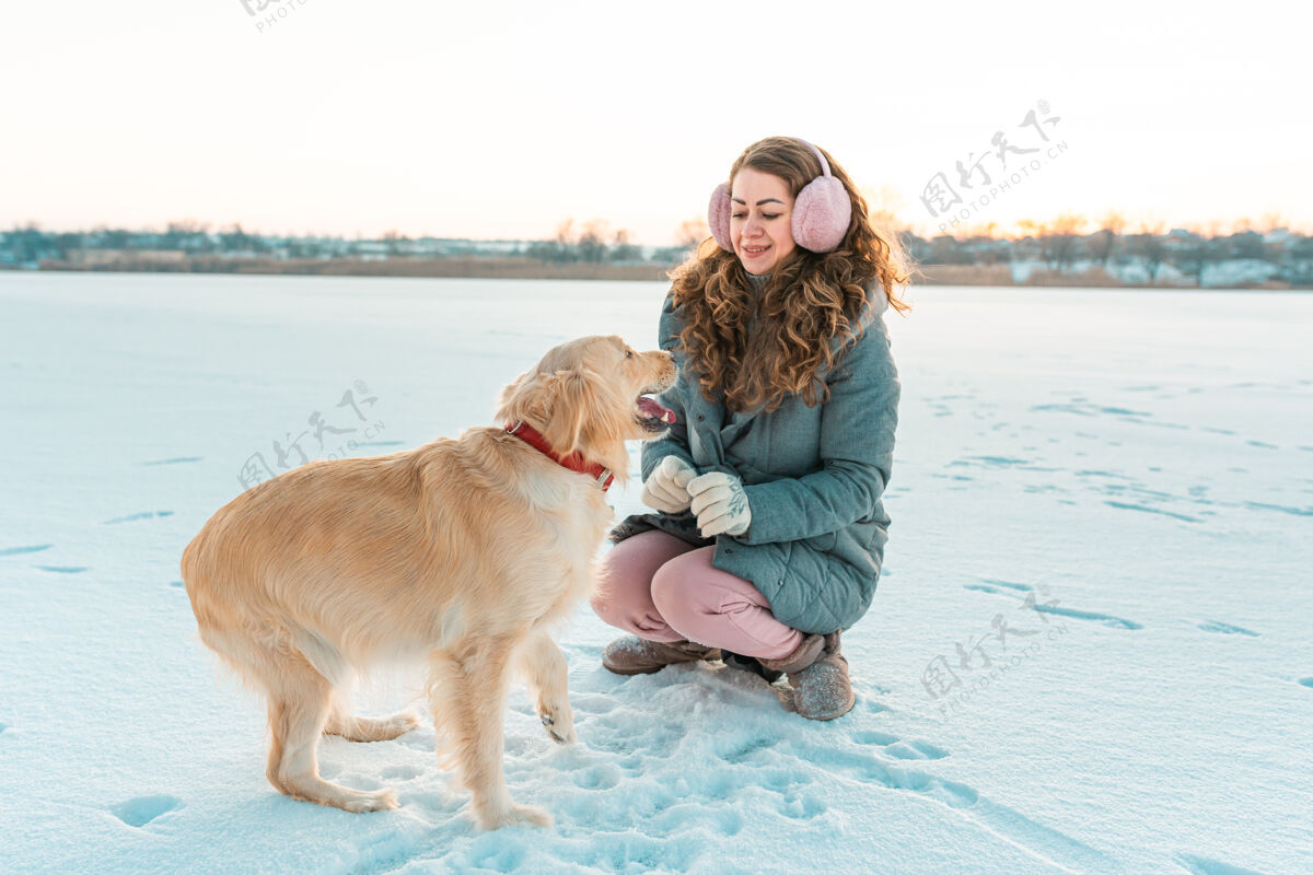 宠物大金毛猎犬给它的主人一只爪子冬天的白色风景天气肖像国内