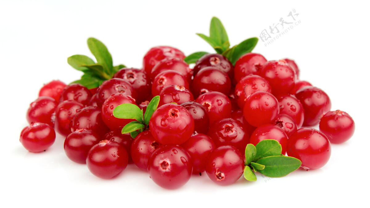 健康白色背景上的新鲜小红莓饮料蔓越莓素食