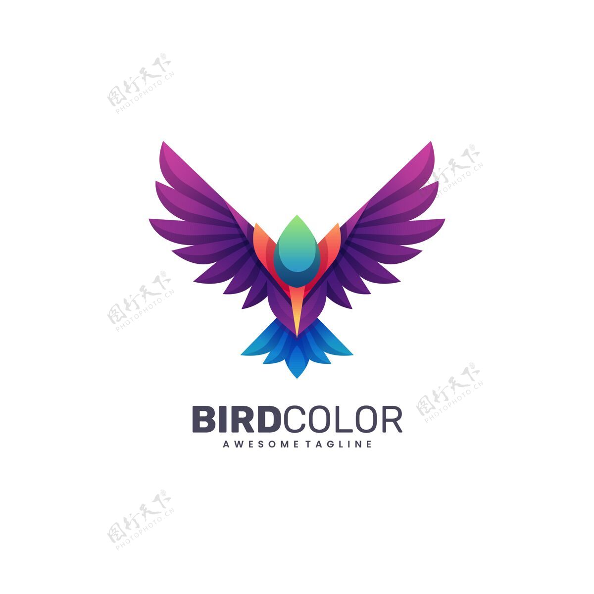 模板标志插图鸟色渐变彩色风格公司标志蜂鸟
