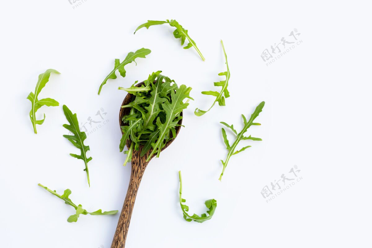 健康白色表面的新鲜绿色火箭沙拉有机芝麻菜草药