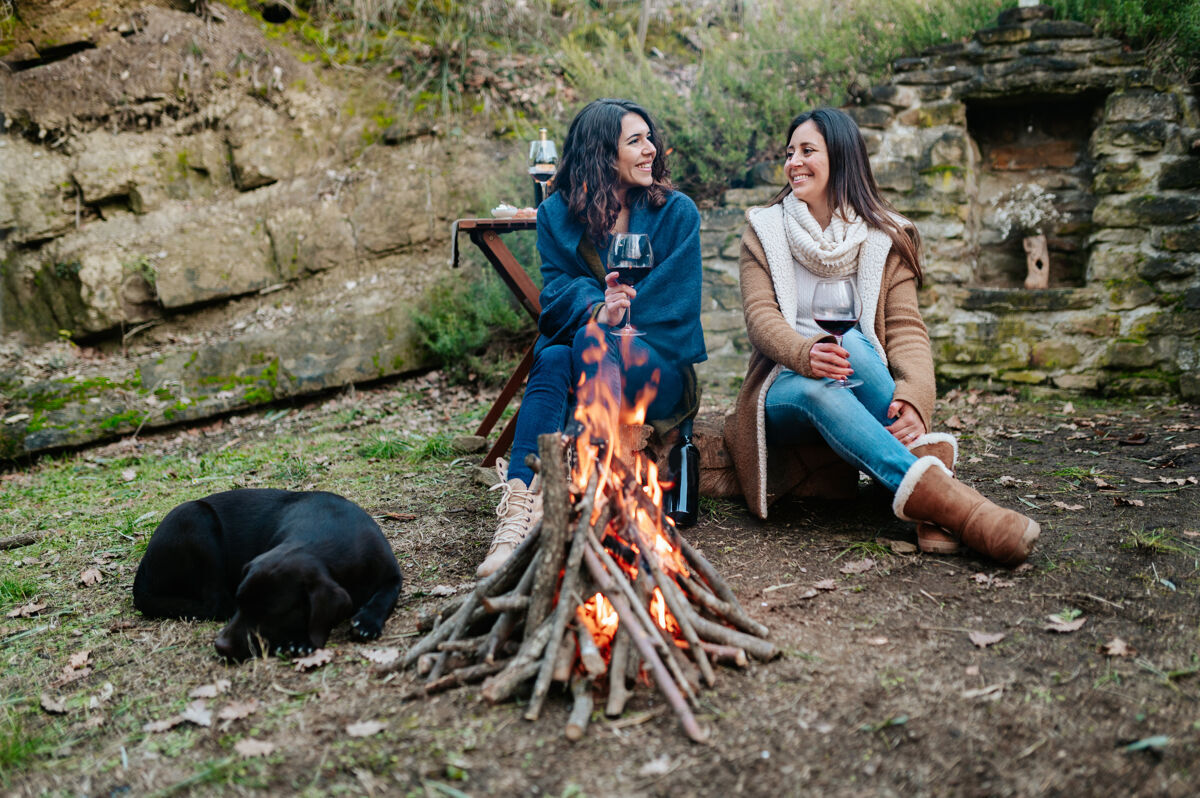 篝火年轻快乐的女人一边喝酒一边聊天葡萄酒女性和狗一起在火炉旁取暖休息营火户外活动概念堆饮料燃烧