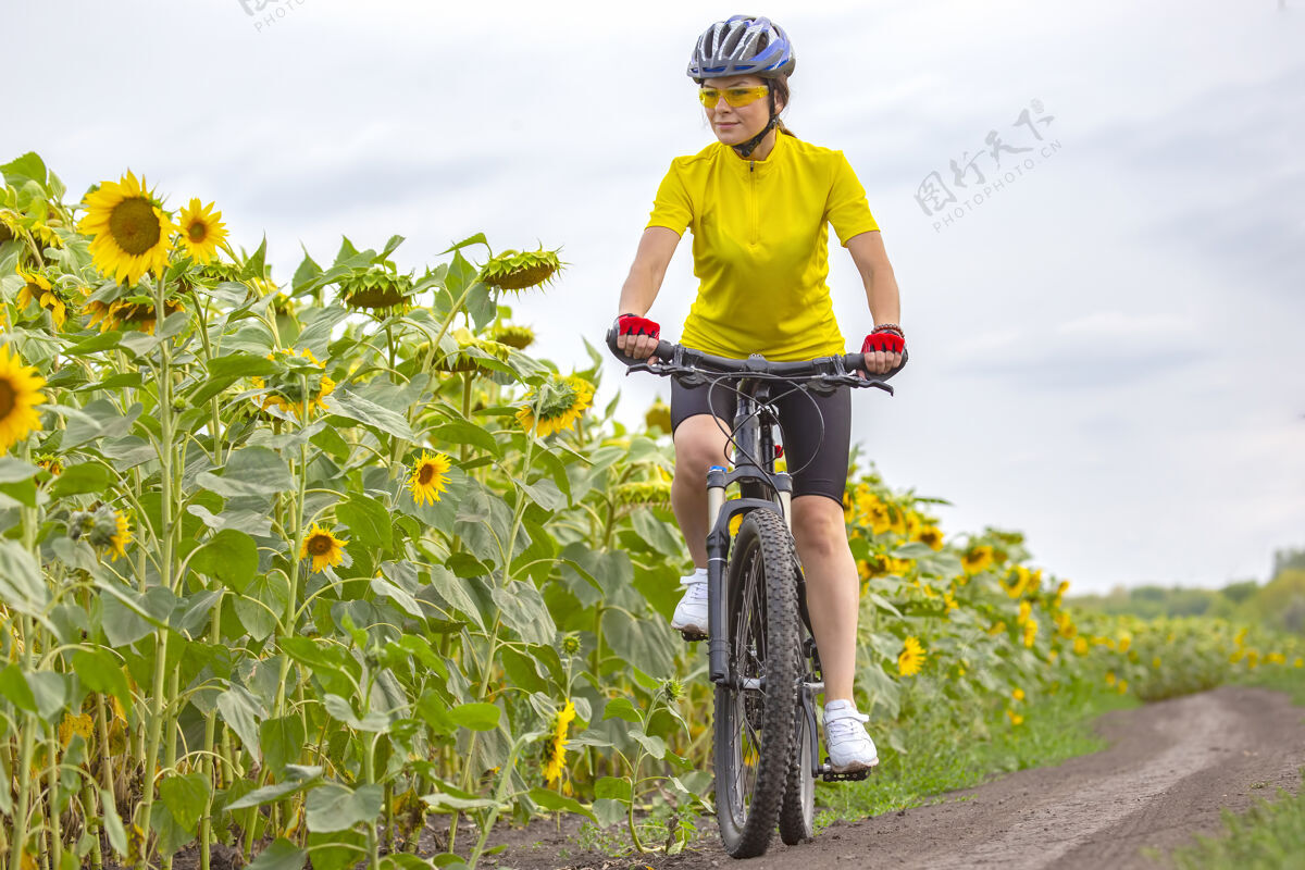 自行车手骑自行车的美女骑着向日葵在草地上自行车健康生活方式和运动休闲和爱好自行车自然娱乐