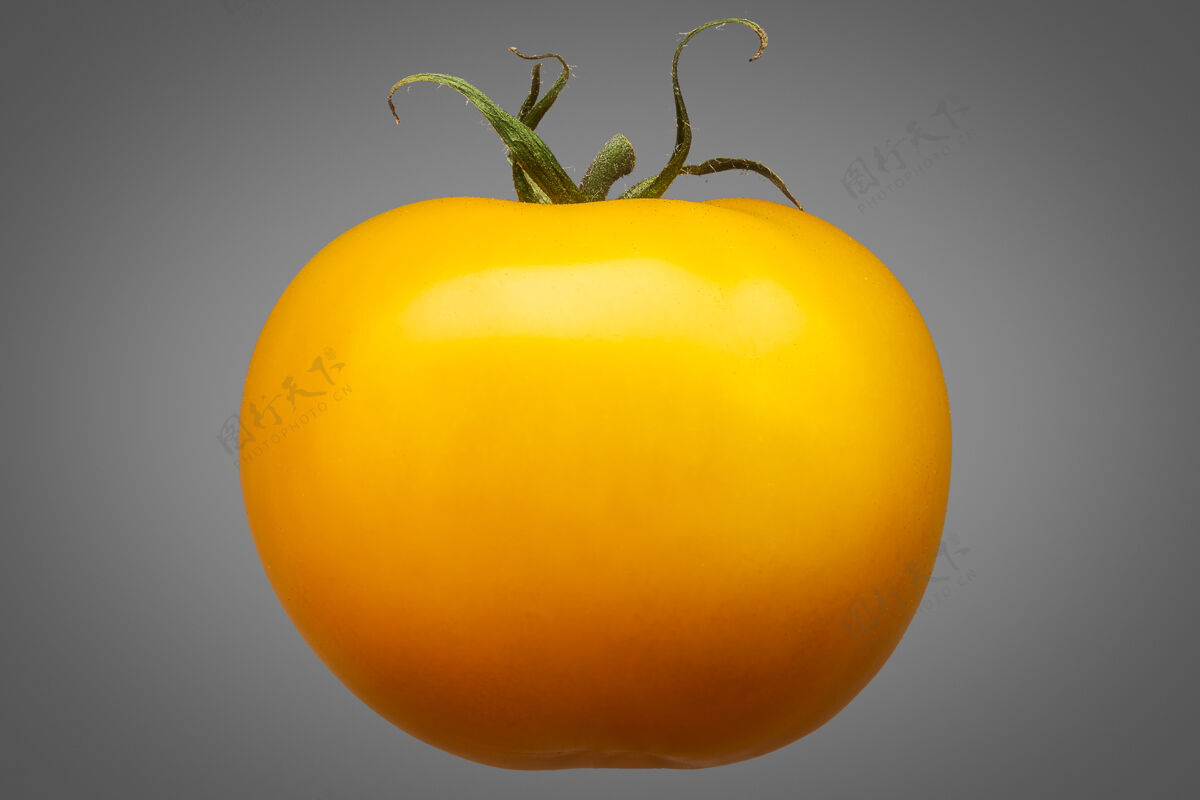 单美味的单一黄色番茄隔离在灰色背景与剪辑路径光泽番茄美味