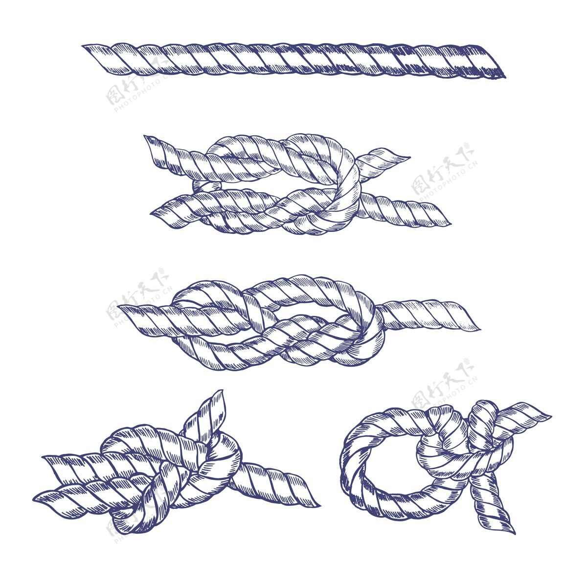 节点海结蓝扭绳手绘素描绳索缆绳绳结