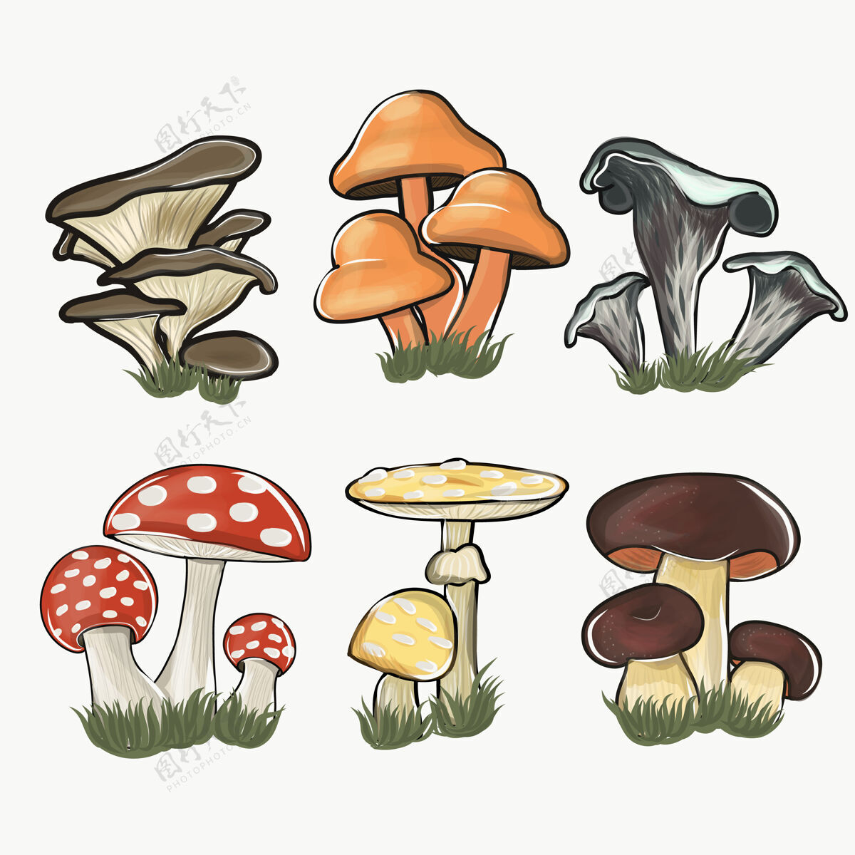 配料收集彩色蘑菇隔离在白色卡通真菌有机