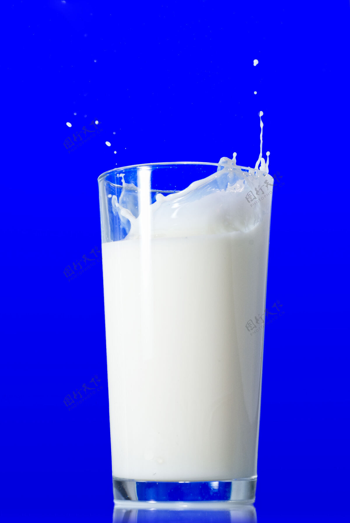 倒牛奶溅在蓝色上营养飞溅液体