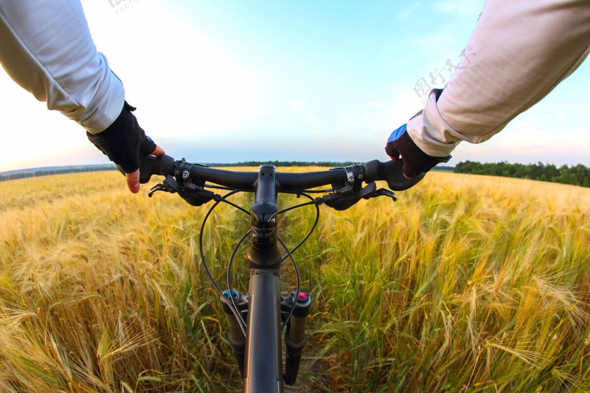 骑行骑自行车的人把手放在麦田和日落的背景上天空体育和旅行街道驾驶沥青