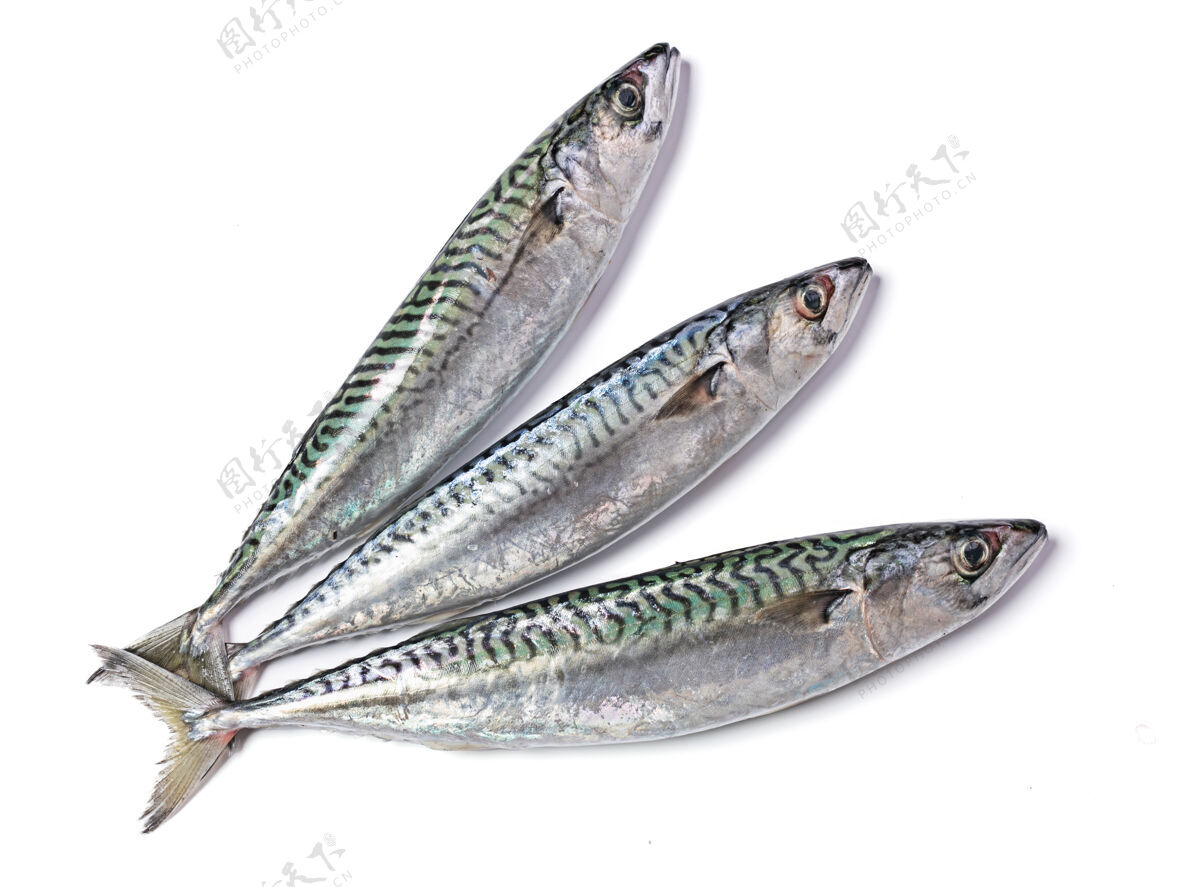 晚餐三条新鲜的白鲭鱼烹饪切割鲭鱼