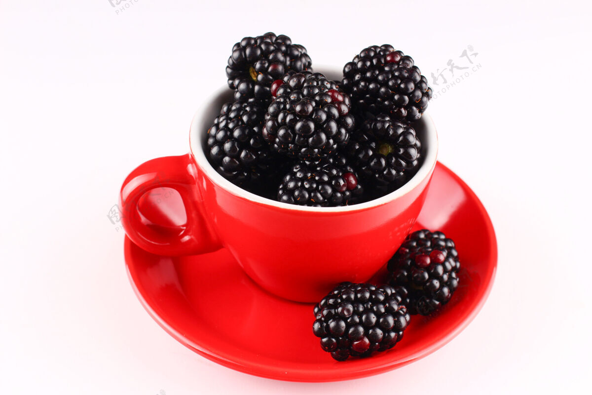 水果黑莓在一个白色的杯子表面新鲜甜点治疗