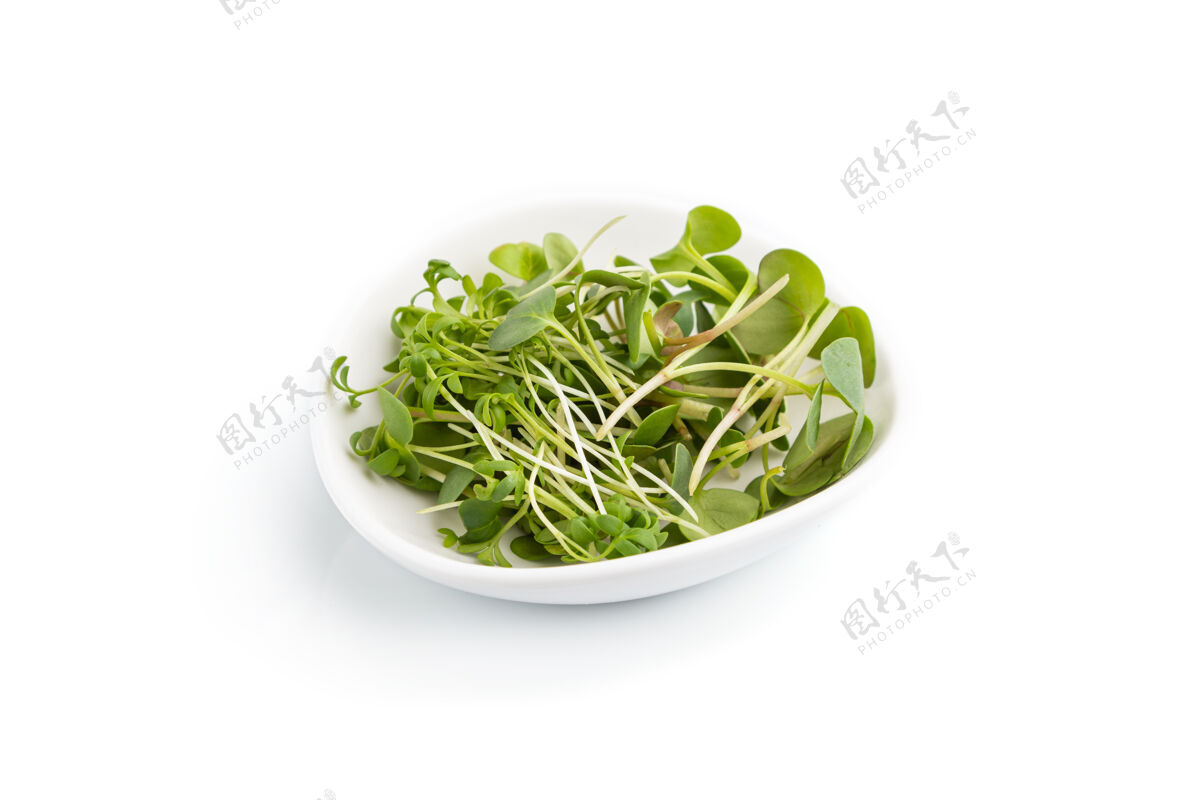 小陶瓷盘子 白色表面有微绿的萝卜和水芹芽素食主义者草自然