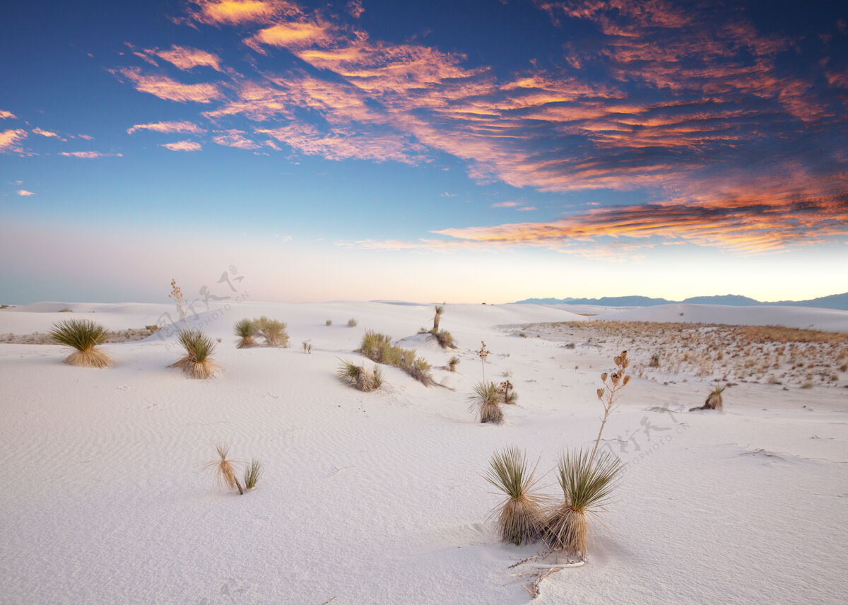 探索美国新墨西哥州的白沙沙丘干燥不同寻常沙滩