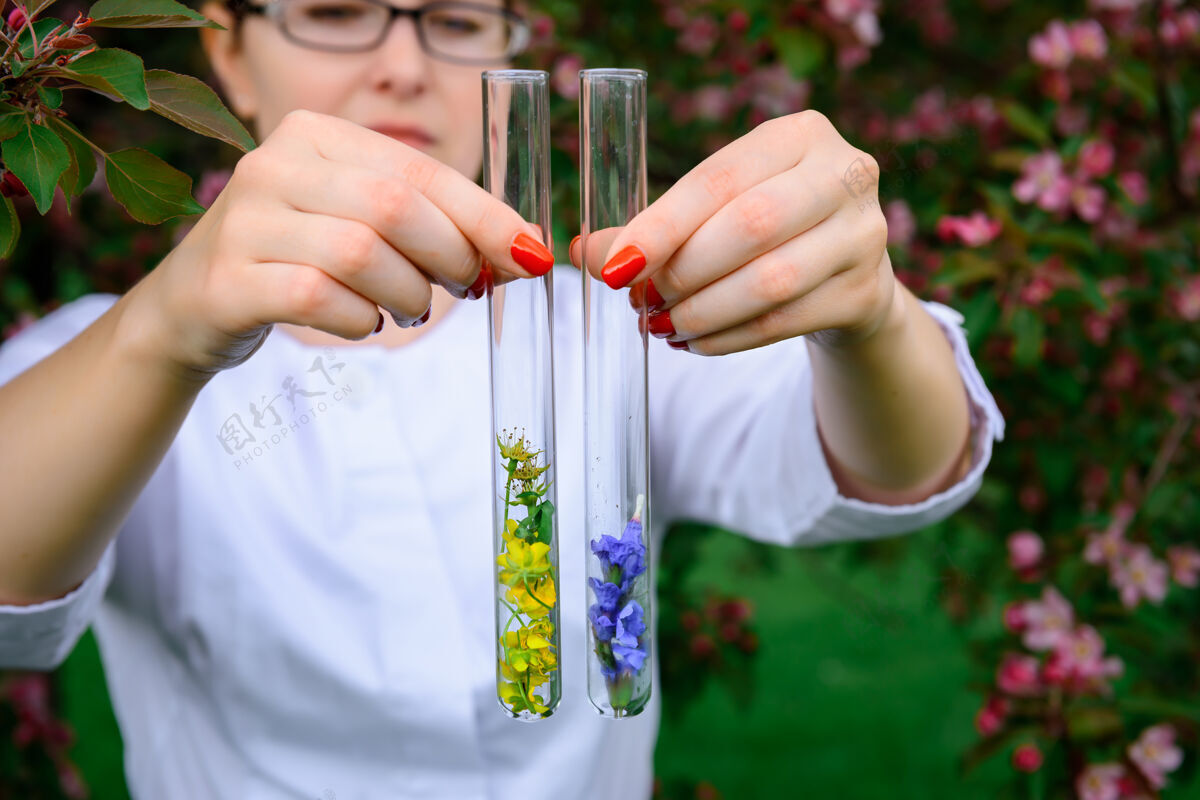 花带花卉样品的玻璃试管 关闭-向上女性手拿烧瓶 背景模糊自然样品玻璃