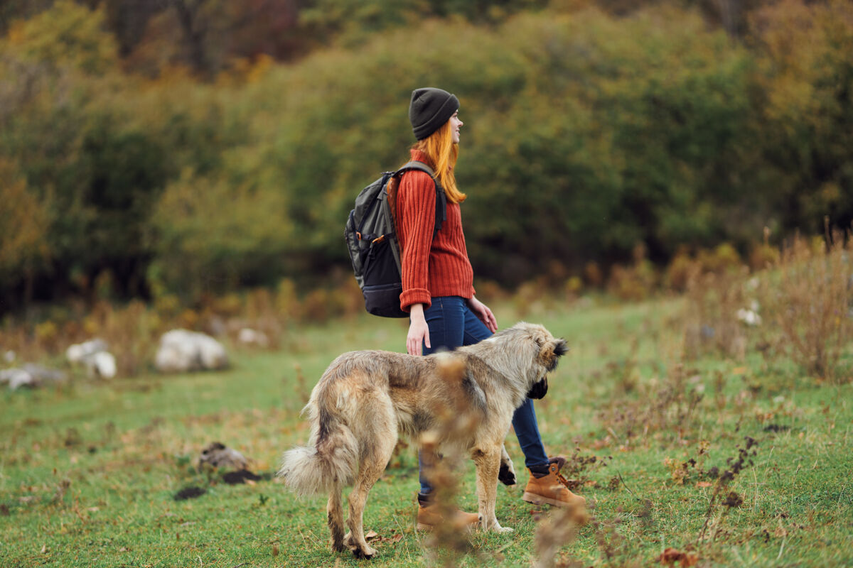 远足女游客带着狗在大自然中漫步旅行 自由探险狗小狗水平