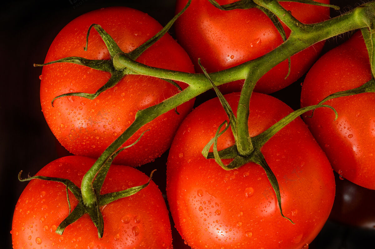 食物新鲜的西红柿和水滴组合美丽番茄