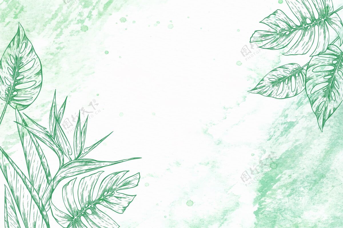 绿色精致的植物设计插画框架精致框架植物