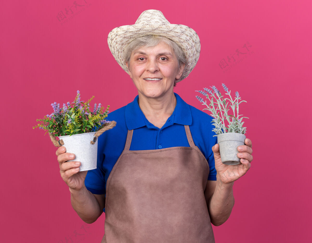 花园微笑的上了年纪的女园丁戴着园艺帽拿着花盆粉色女花盆