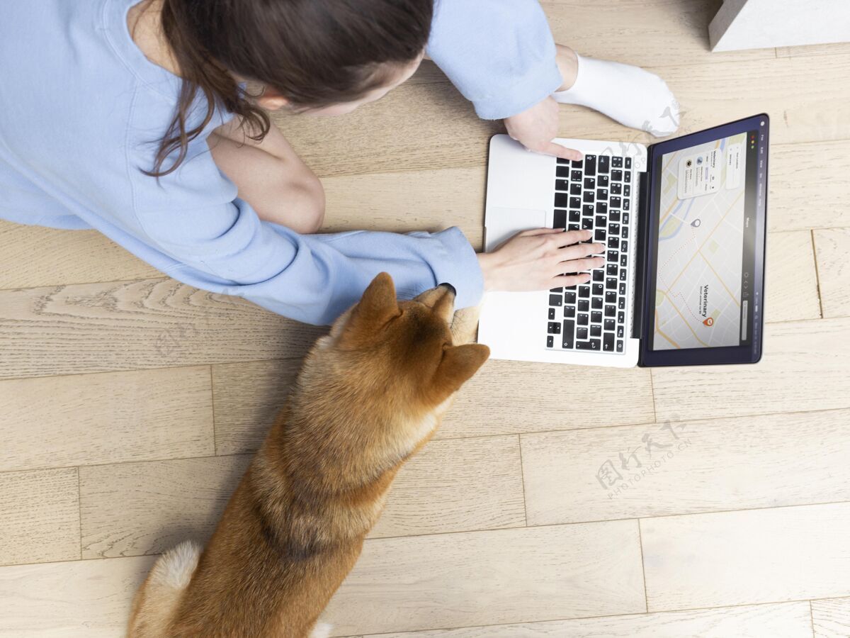 狗高角度的年轻女子在她的狗旁边的笔记本电脑上工作人友谊雌性