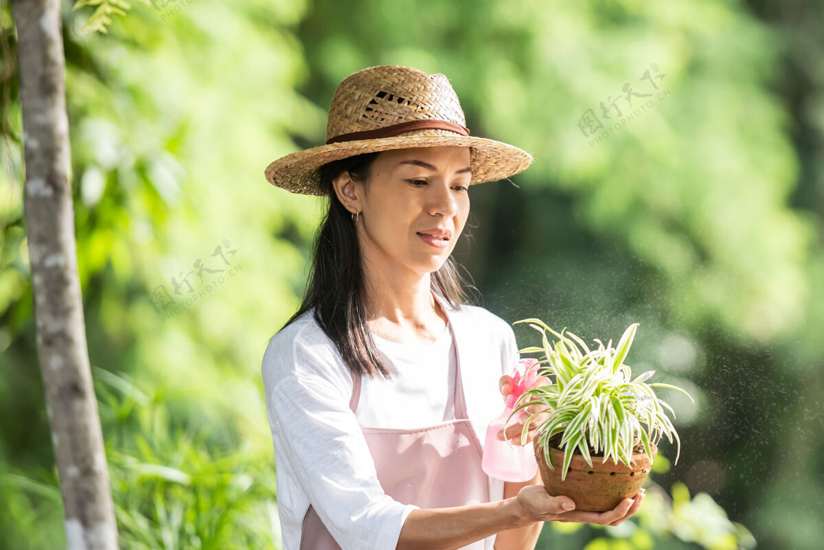 女性在夏日阳光明媚的日子里 美丽的年轻女子在花园里给树浇水在夏日自然中 女子在户外园艺农耕 园艺 农业和人的概念成人女孩活动