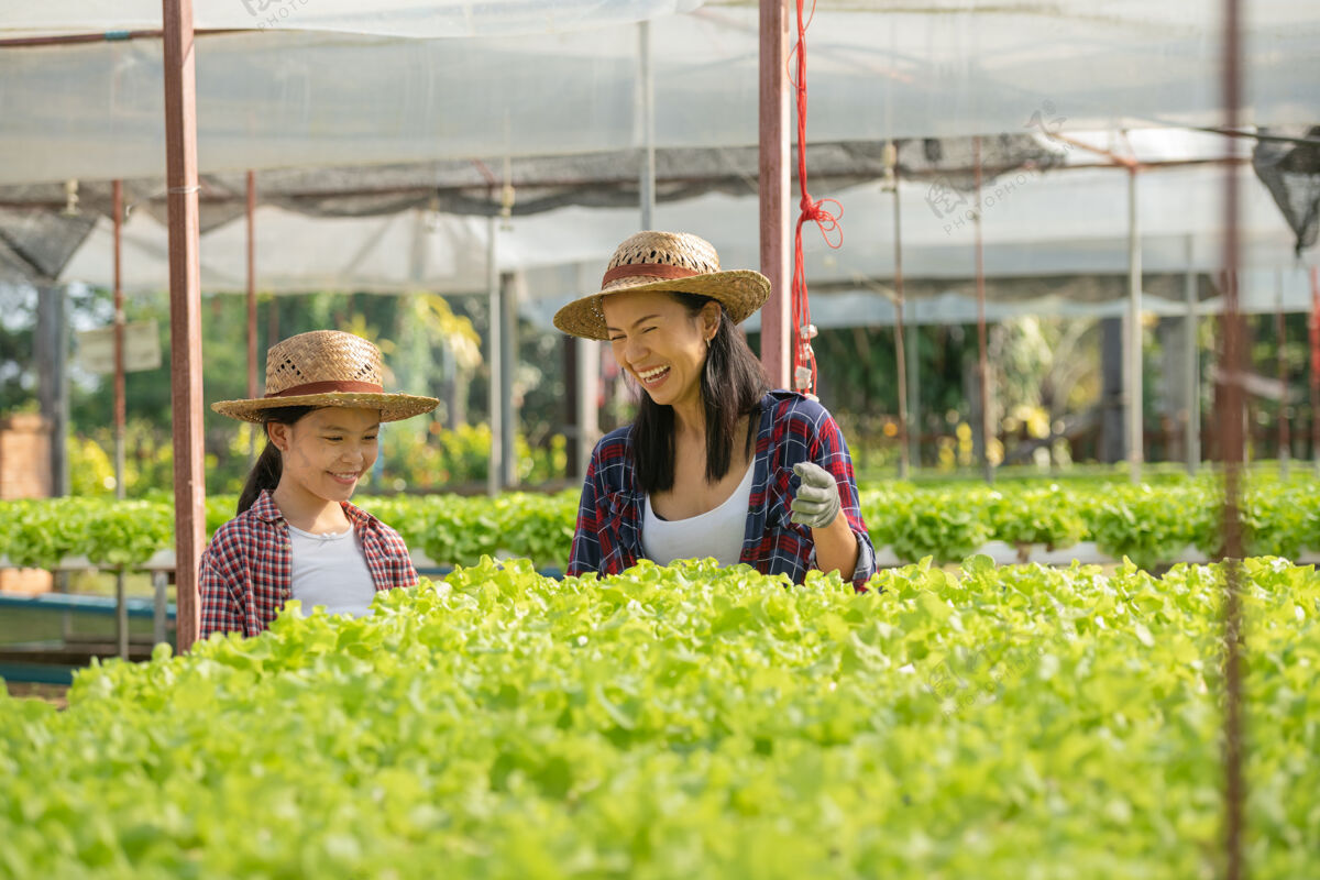 温室亚洲母女一起在农场里帮助采集新鲜的水培蔬菜 家庭生活方式中家庭农业的概念园艺和儿童教育营养生长持有