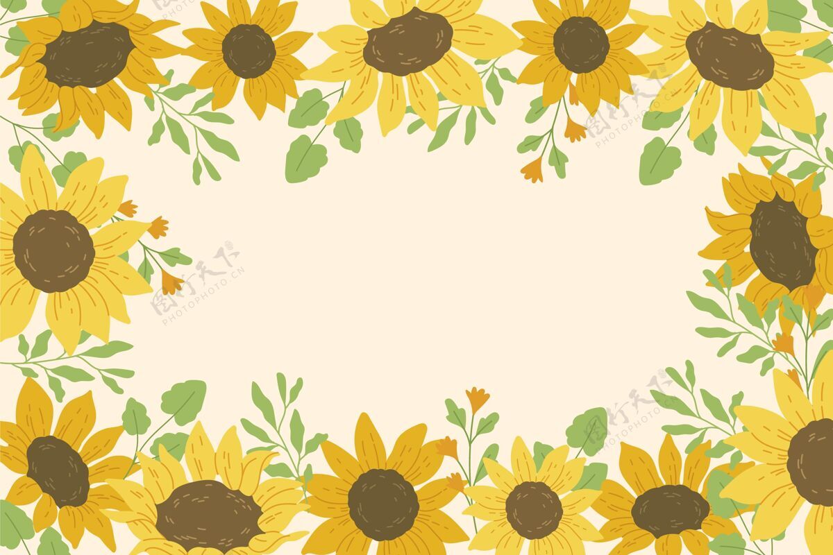 边界平面设计自然向日葵边界花瓣花花