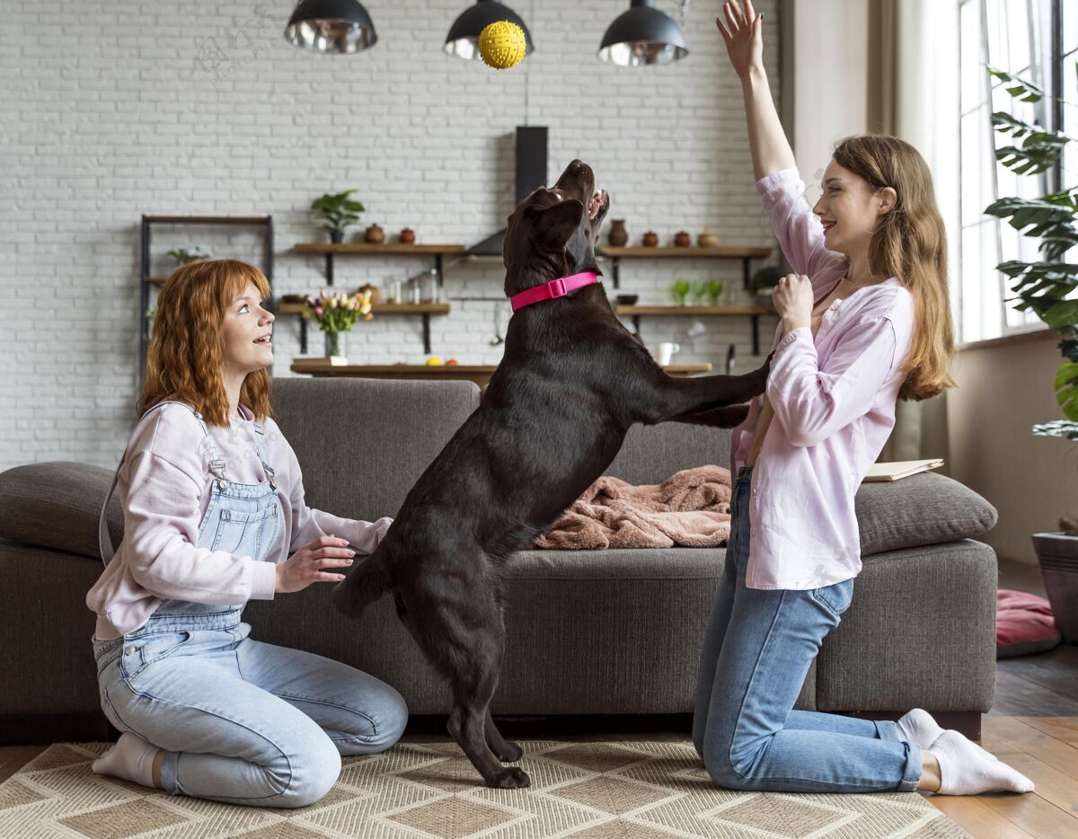 女人全镜头女人和狗一起玩在家里放松全镜头