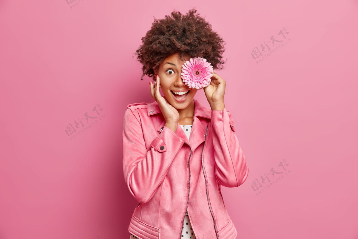 春天年轻开朗女人的画像保持粉色非洲菊花在眼前轻轻抚摸着脸感觉很幸福穿着时尚夹克对着玫瑰色的墙壁摆姿势花店手乐趣