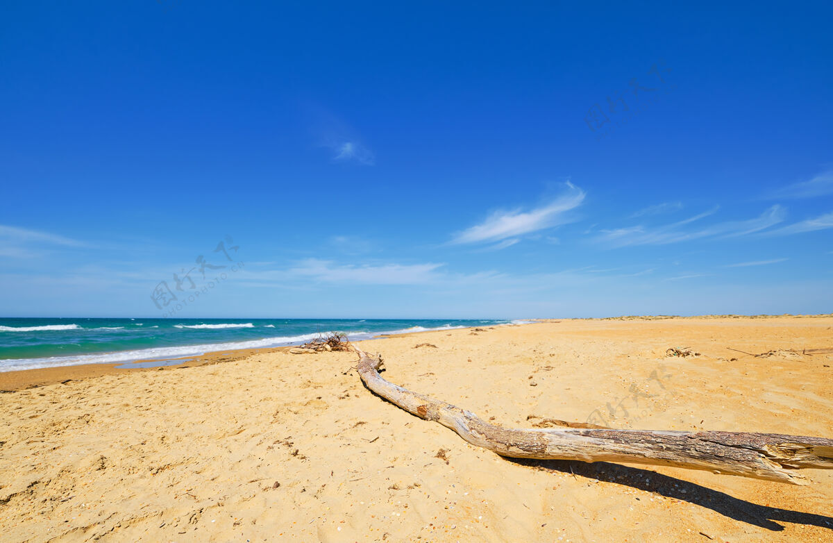 地平线精选木柴躺在沙滩上沙滩野性 碧海白云 海岸蓝天美丽的海洋户外自然景观 海岸线阳光天堂