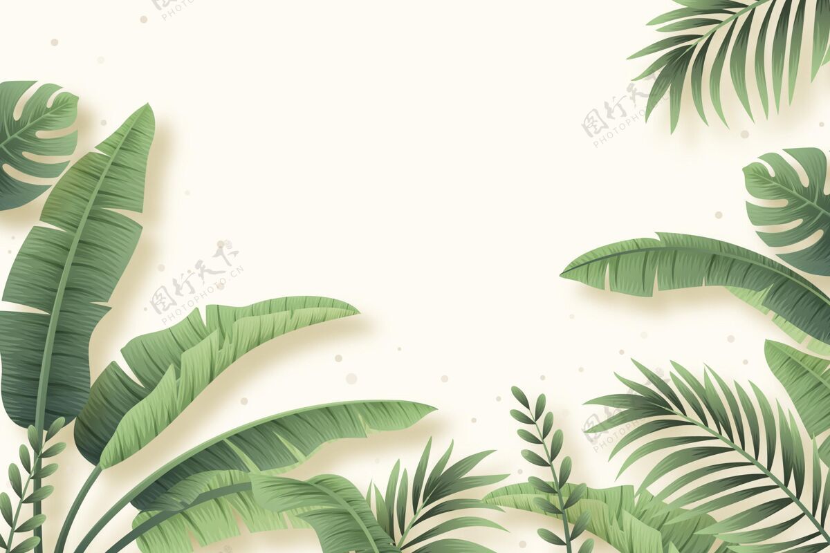 背景真实的热带树叶背景季节真实背景热带树叶