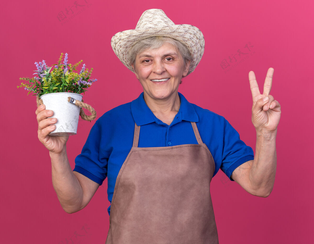 园艺面带微笑的上了年纪的女园丁戴着园艺帽 手里拿着花盆 在粉红色的花坛上打着胜利的手势手势女老人