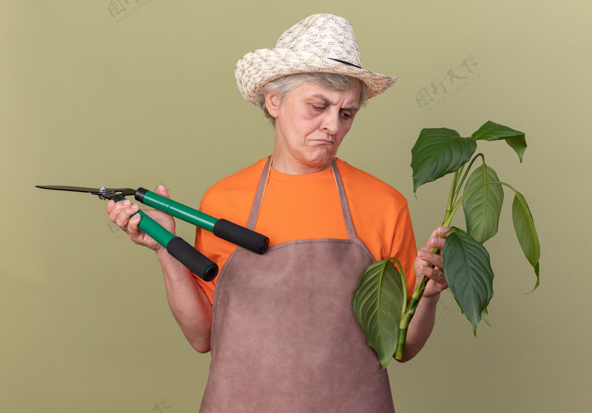 花园失望的上了年纪的女园丁戴着园艺帽拿着园艺剪刀看着橄榄绿上的植物枝女园艺橄榄