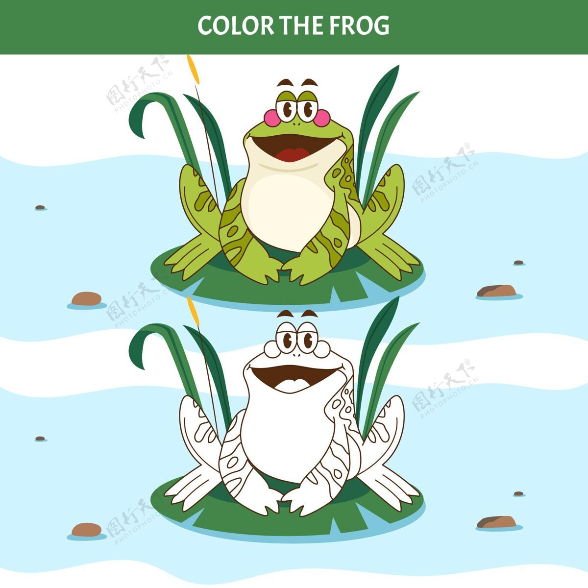 可爱手绘青蛙上色轮廓绘画动物