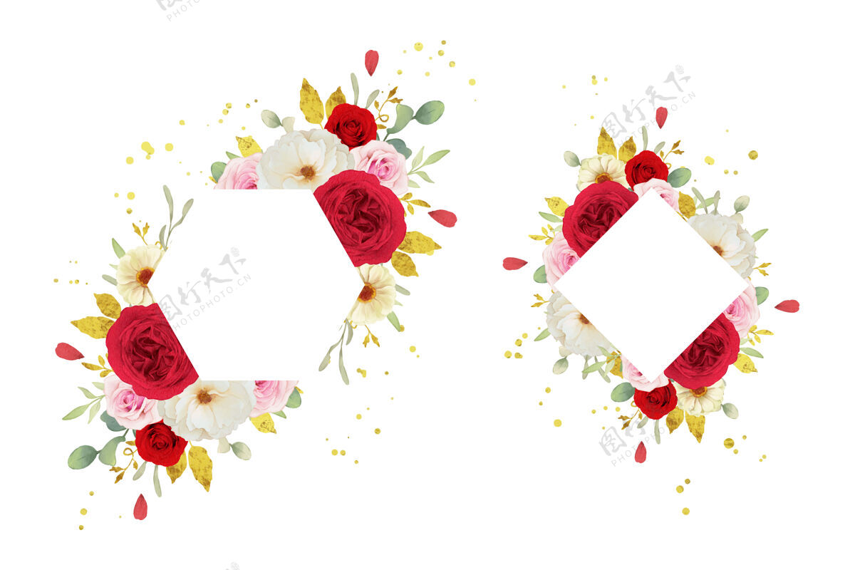 芽美丽的花卉框架与水彩粉白色和红色玫瑰玫瑰绿色情人节