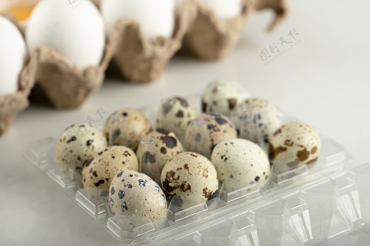 生的生鸡蛋和鹌鹑蛋装在纸箱里有机食品家禽禽类