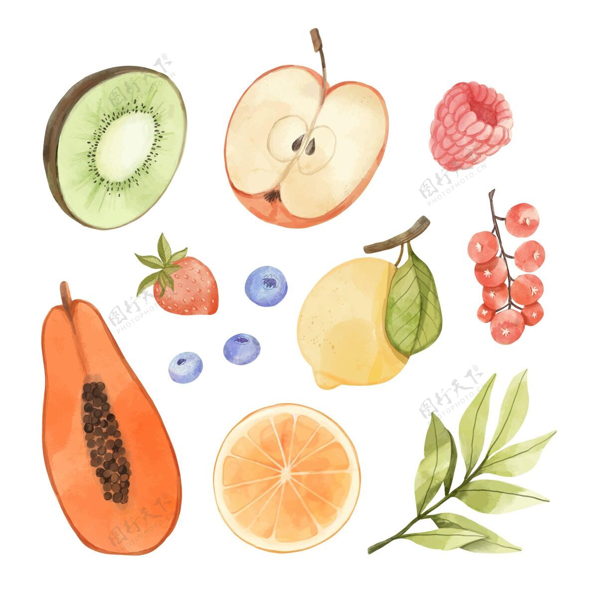 收藏手绘水彩画水果系列美味水果水果收藏