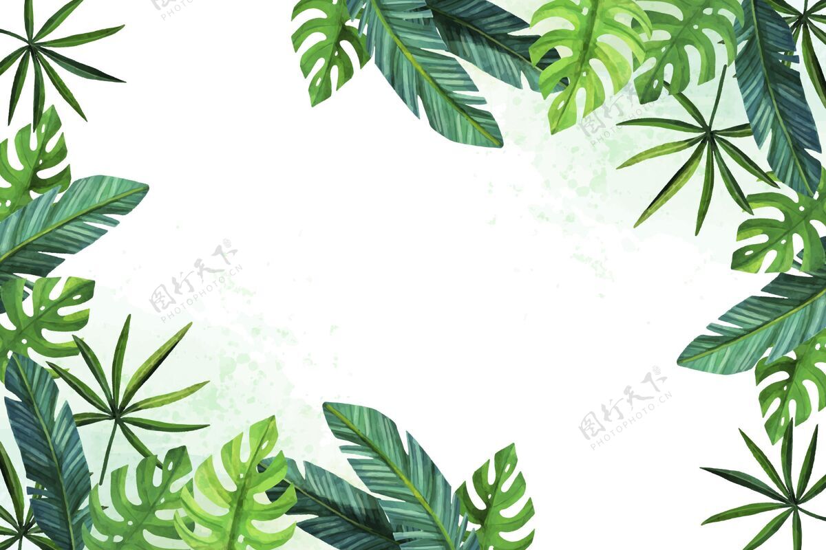 热带树叶墙纸手绘水彩画热带树叶背景墙纸背景热带树叶