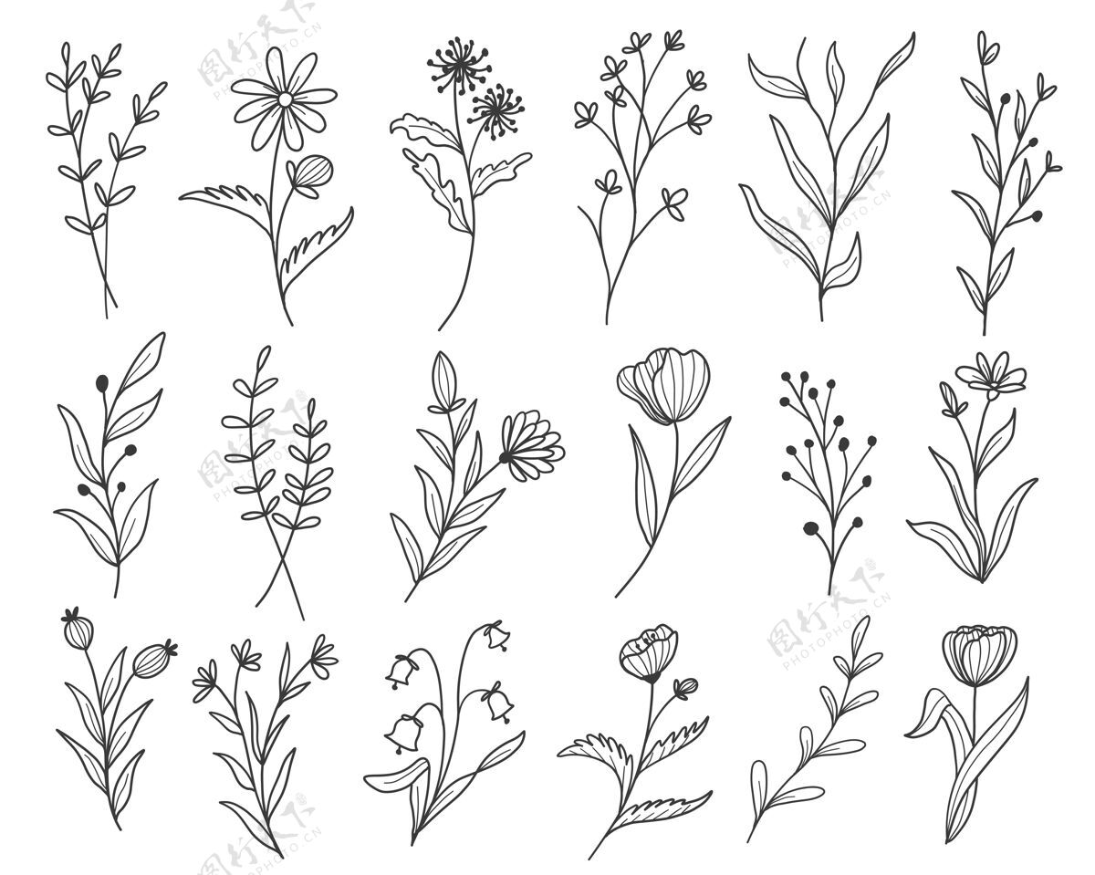 单色一套植物叶子涂鸦野花线条艺术素描树叶元素