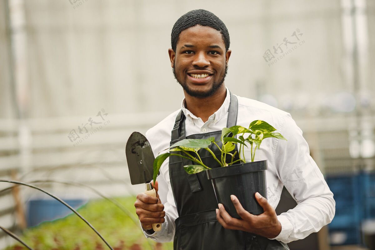 快乐围裙里的园丁温室里的非洲男人花盆里的花职业非洲人