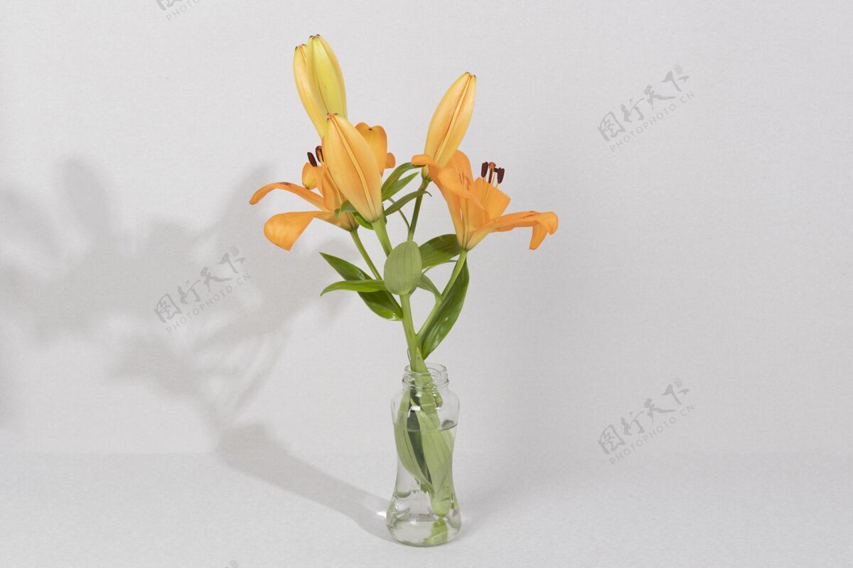 叶桌上花瓶里的花花开花花瓶